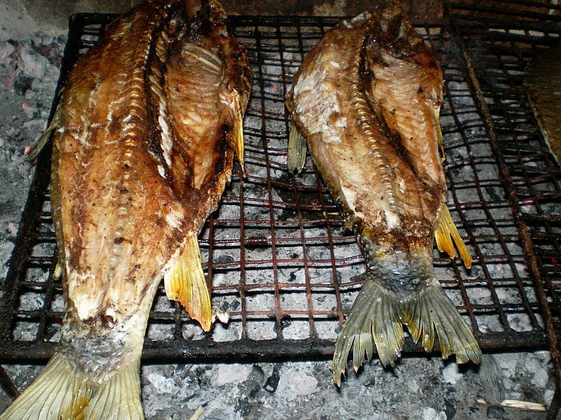 parrilla parrilla