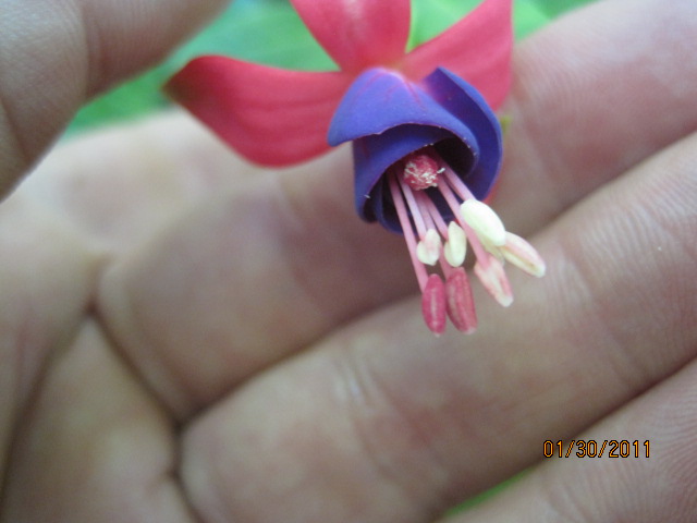 [​IMG]